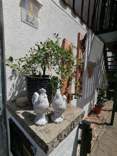 Apartamento G�stewohnung Am Obstgarten