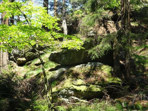 Apartamento Cu-ferienwohnungen