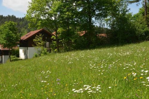 Apartamento Ferienwohnung Wildgatter
