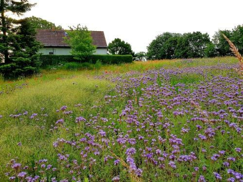 Ferienhaus Gransee