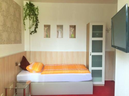 Hostal Pension Alscher Garni
