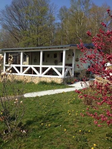 Ferienhaus Sonnenschein