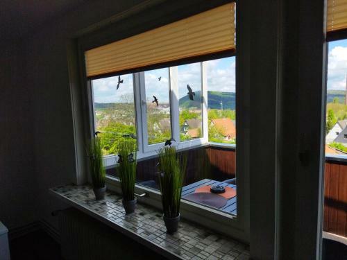 Apartamento Ferienwohnung Harz Valley -mit Fernblick In Den Harz.