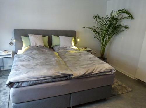 Apartamento Ambiente Am Breiten Tor
