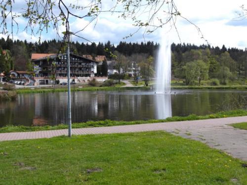 Apartamento Ferienwohnung Hahnenklee 2