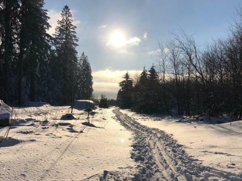 Apartamento Bocksberggl�ck In Hahnenklee