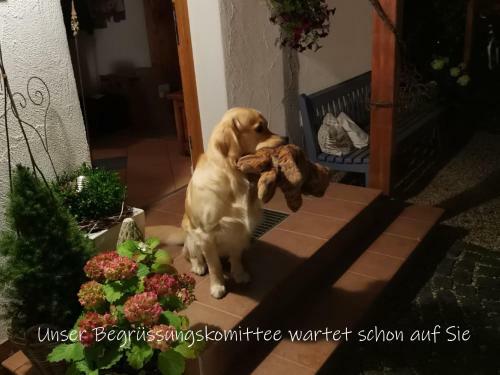 Apartamento Beste Zeit Ferienwohnung