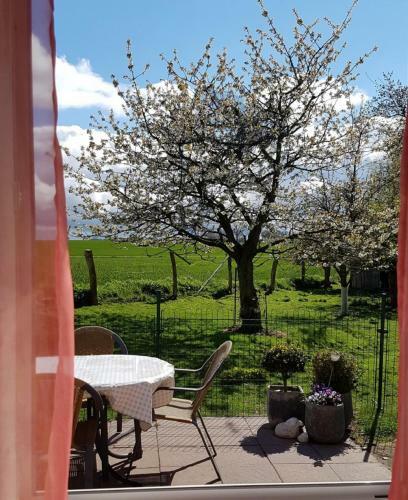 Apartamento Ferienhof Albert
