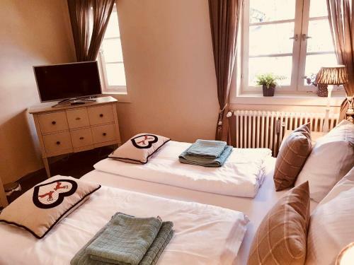 Apartamentos Zugspitzsuite Alpi