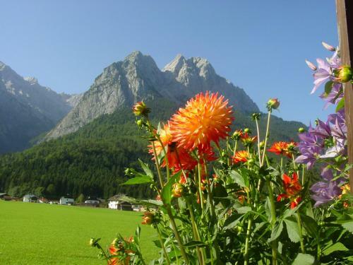Apartamento Landhaus Waldrebe