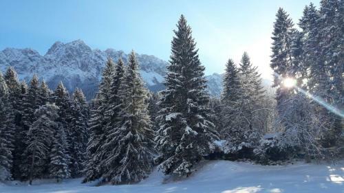 Hostal G�stehaus Lehnerer Grainau