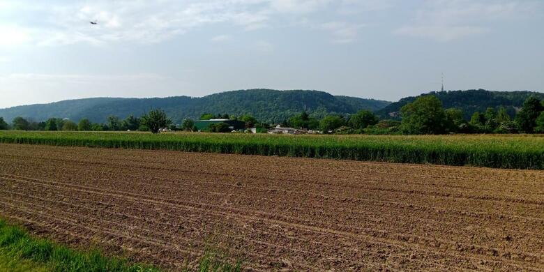 Apartamento Ferienwohnung In Grenzach