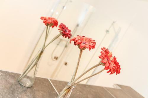 Apartamento Logierhaus-greetsiel S
