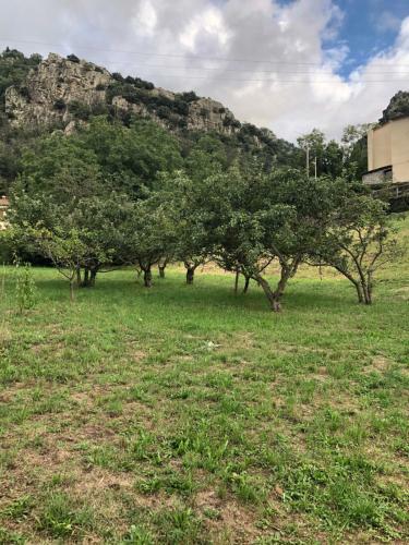 Apartamento La Pommeraie