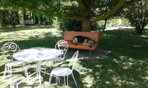 Bed & Breakfast Villa Gazounette