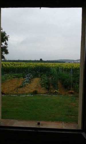 Bed & Breakfast Villa Gazounette