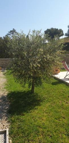 Bed & Breakfast Chambre D'h�tes Mantei