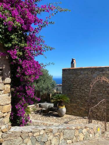 Villa Laurina Pr�s De Calvi