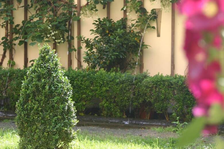 Hostal Hofg�rtnerhaus