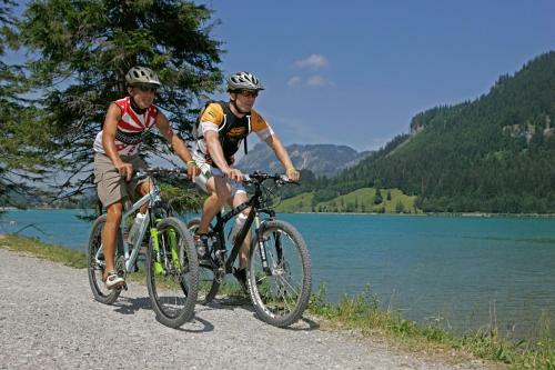 Hostal G�stehaus Perktold