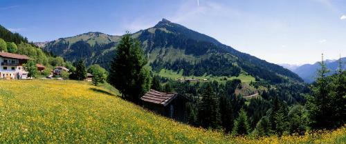Hostal G�stehaus Perktold
