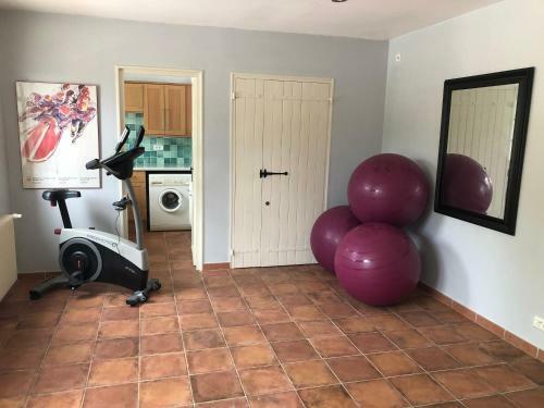 Courtyard Gite With Very Large Shared Pool