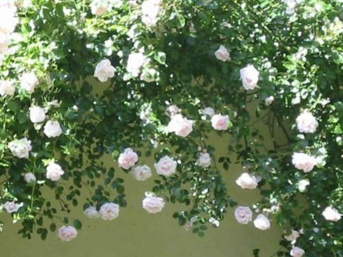 Bed & Breakfast Les Rivieres