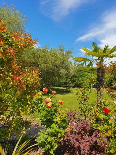 Hostal La Cabane Du Pesquier En Provence