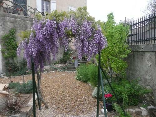 Bed & Breakfast Clos Du Magnolia