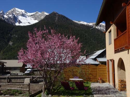 Apartamentos La Saume