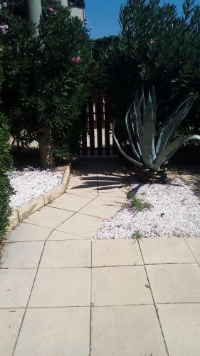 Apartamento Studio de 27 M� + 70 M� de Jardin � 100 M Des Plages