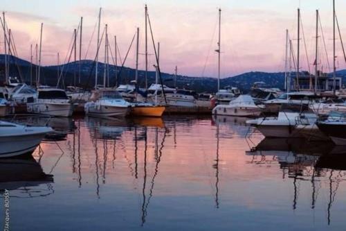 Apartamento La Cabane En Bord De Mer