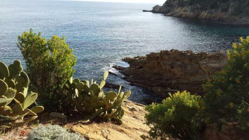 Apartamento 65 Rue Pierre Rameil Appartement