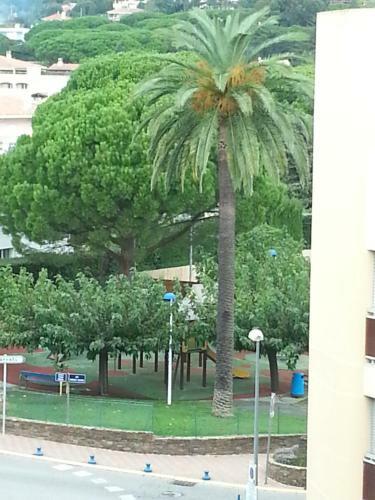 Apartamento 65 Rue Pierre Rameil Appartement