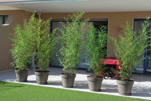 Apartamento Colore Di Mare