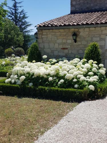 Bed & Breakfast Les N�fliers