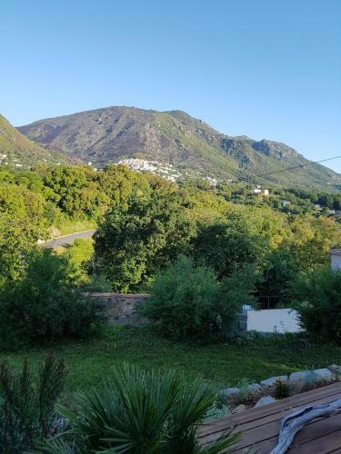 Apartamento Casa San Niolo