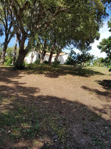 Apartamento Casa San Niolo