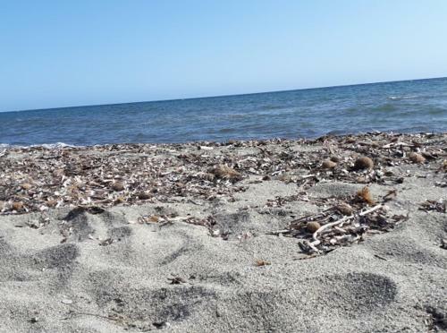 Prunete Plage Petit Maison Wifi-free