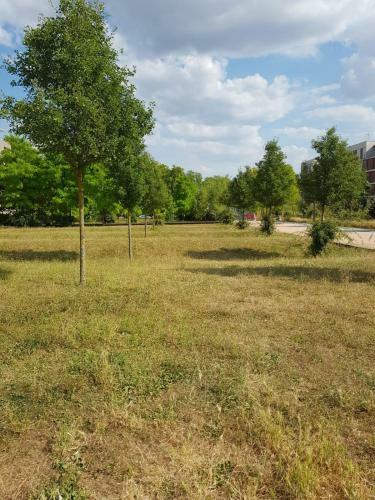 Apartamento 11 Rue De La Pierre Miclare