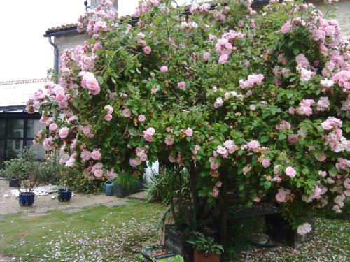 Bed & Breakfast La Rosaliere