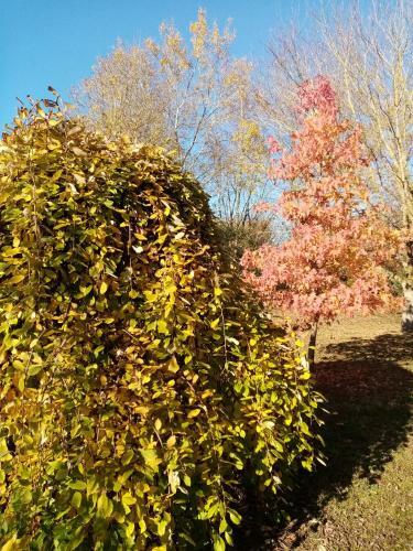Bed & Breakfast L'eden Naturiste
