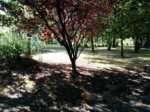 Bed & Breakfast L'eden Naturiste
