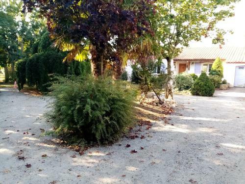 L'eden Naturiste �cureuil