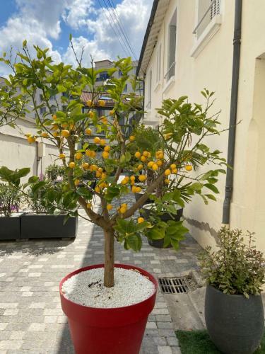 Apartamento Nid D? Amour Calme Rdc Pour Nuit Douce Park Possib