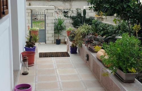 Apartamentos Great Alexander Suites