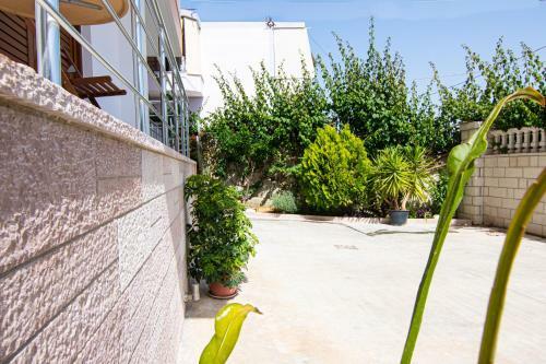 Apartamentos Great Alexander Suites