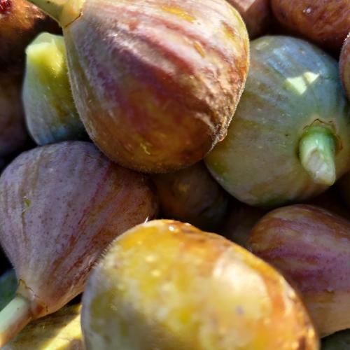 Hostal Au Clos Des Figues