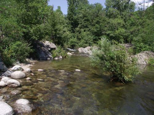 Bed & Breakfast Le Mas Des Sources Cevenol Chambon