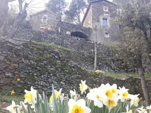 Bed & Breakfast Le Mas Des Sources Cevenol Chambon